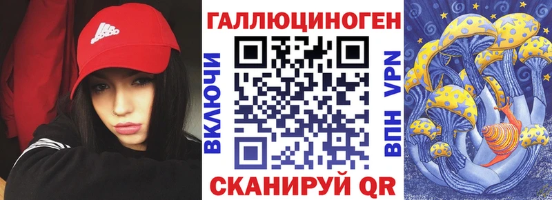 Галлюциногенные грибы Psilocybe купить Змеиногорск